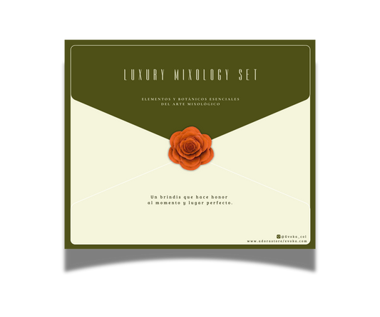 Set de coctelería de lujo EVOKA – regalo premium para sorprender
